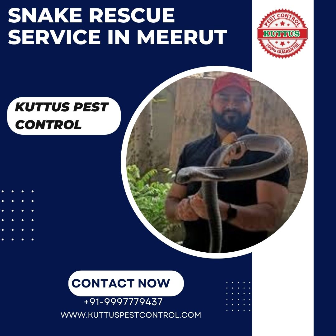 Snake Rescue Service in Meerut by Kuttus Pest Control